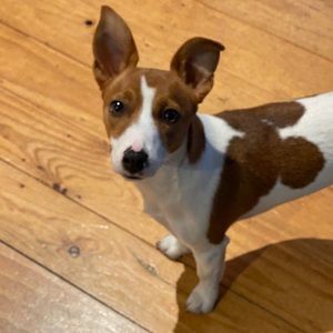 Meet your Posher, Melanie